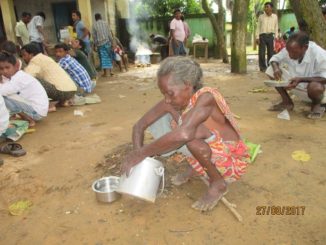 2_Feeding_program_Rice