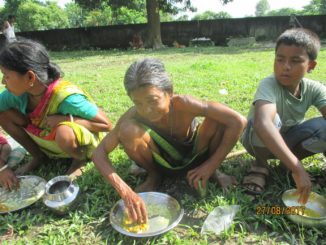 5_Feeding_program_Rice