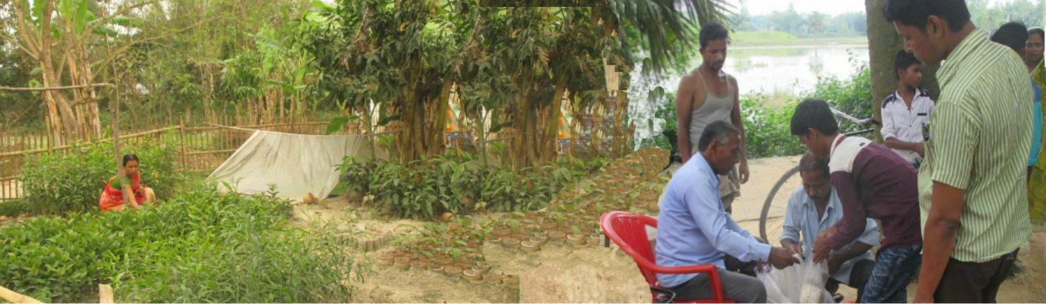 SAMSIA RURAL HEALTH AND ECONOMIC DEVEOPMENT SOCIETY